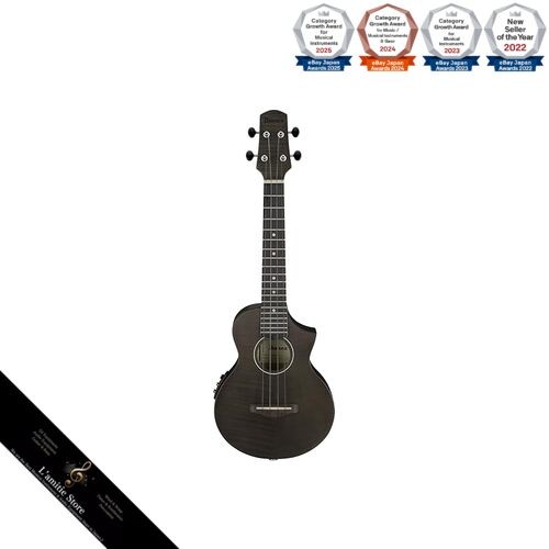Ibanez concert size electric - ibanez, concert-size