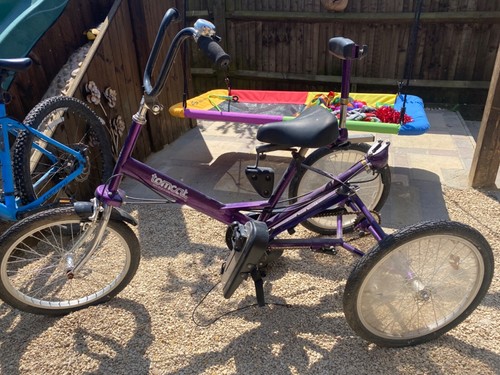 Tomcat disability purple trike - tomcat,