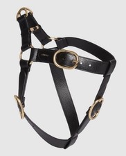 GUCCI Pet Dog Interlocking GG Demetra Buckled Adjustable Harness Size Large