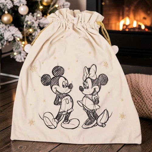 Christmas gift sack disney - gift,