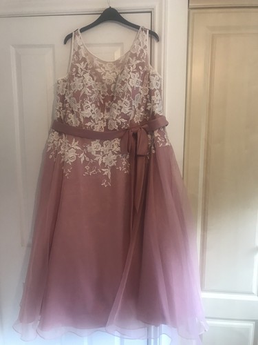 True bride bridesmaid - bride, dress