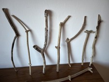 8 30-50cm long DRIFTWOOD