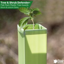 Tree Guards | Sapling & Shrub Support | Rabbit & Deer Protectors | 60cm & 120cm