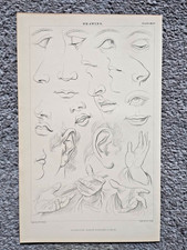 Examples of Drawings of Facial