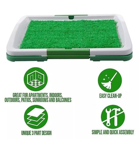 Pet dog toilet training - pet,