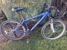 Diamond Back Mtn Peak Mens