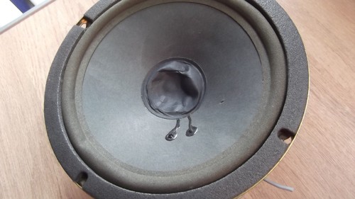 Speaker cone - 6", cone)