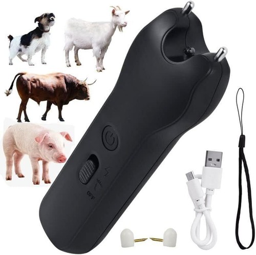 Usb electric pig - electric,