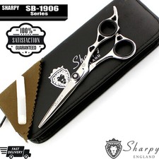 6.5" Professional Hairdressing