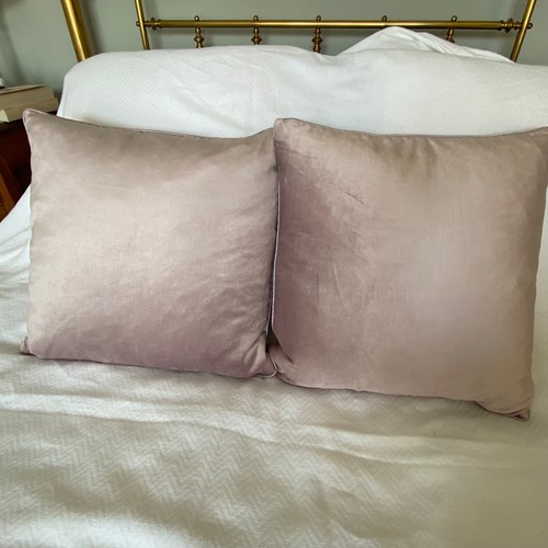Laura ashley nigella - x,