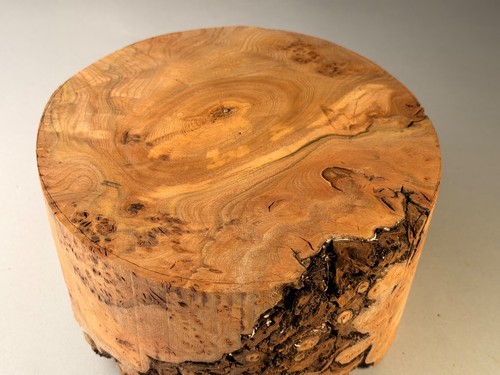 Amazing spalted burr elm - spalted,