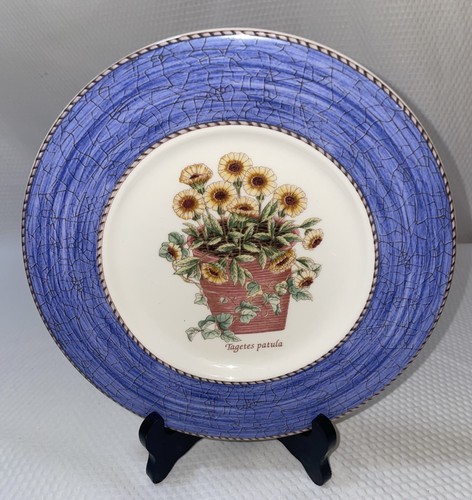 Wedgewood sarah garden - sarah's,