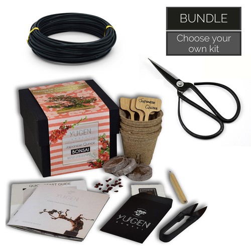 Novice bonsai tree starter kit - novice,