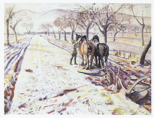 Horse ploughing malvern - horse, in