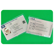 Santa's International Sleigh