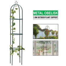 NEW GARDEN OBELISK CLIMBING