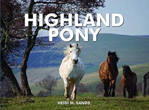 Spirit the highland pony - spirit, of