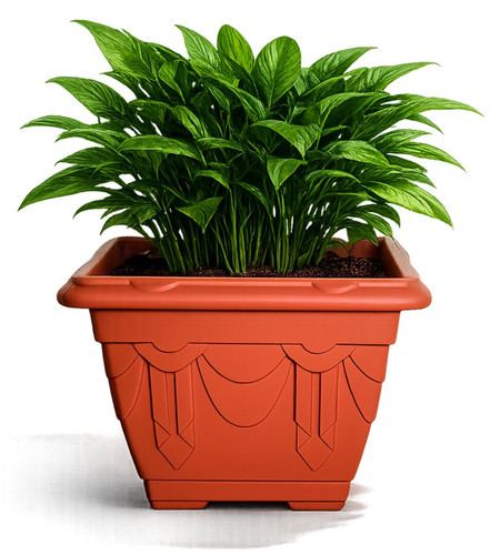 Venetian plastic plant flower - plastic,