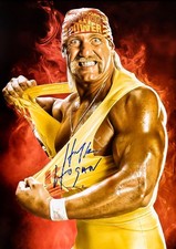 Hulk Hogan Wrestler Wrestling