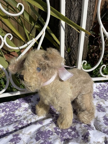 Teddy bear old antique - teddy,