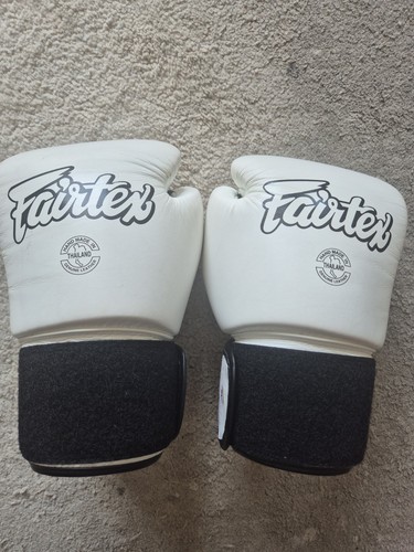 Fairtex gloves 10oz - fairtex, bgv1