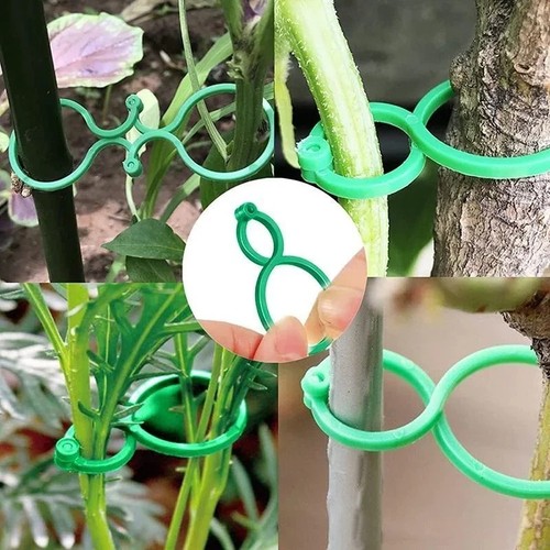 50pcs garden plant - plant, clips