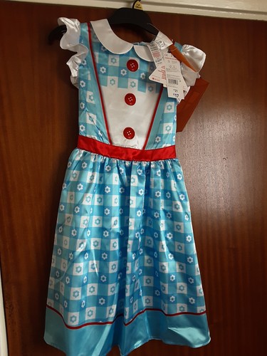 Wizard dorothy costume - wizard, of