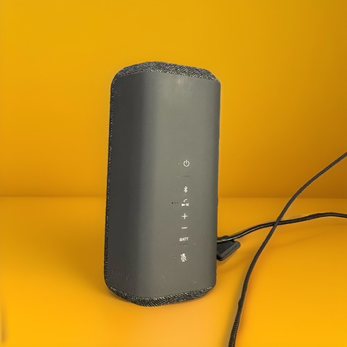 Sony srs xe300 - sony, portable