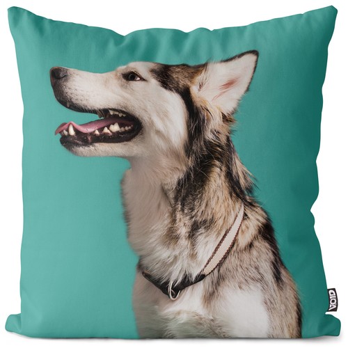 Husky cushion cover - cover,