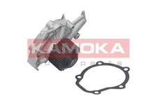 KAMOKA T0065 WATER PUMP