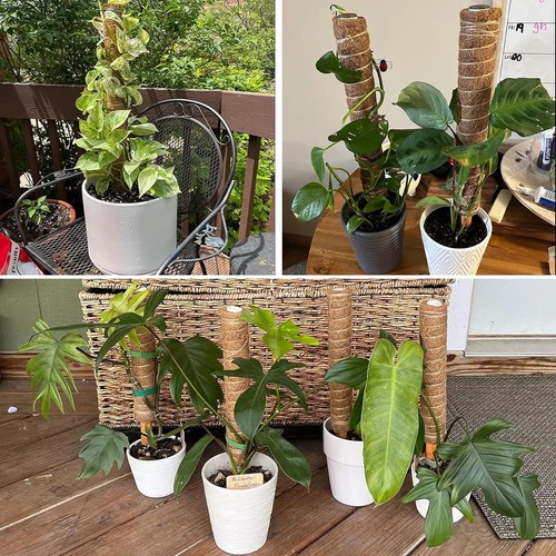1pc bendable moss pole - 1pc,