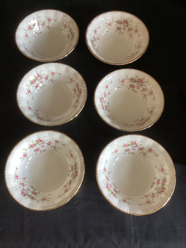 Paragon victoriana rose - x,