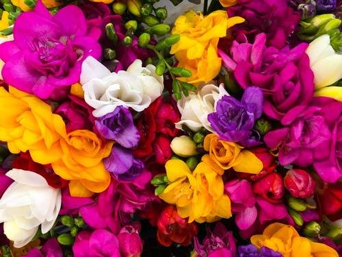 Bulbs mixed bag of - 60,