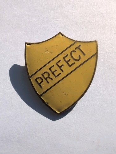 Yellow enamel lapel shield - shield, pin