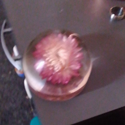Clear pink glass paperweight - &,