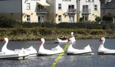 Photo 6x4 Lined up for hire - swan pedalos on Castle Island Boating Lake  c2016