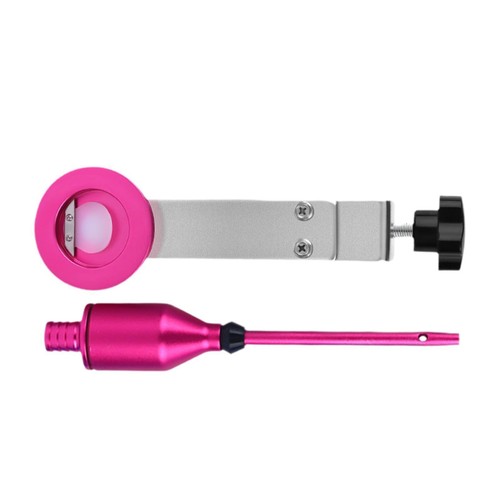 Balloon stuffer inflatable - stuffer,