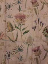 Sanderson Thistle Garden