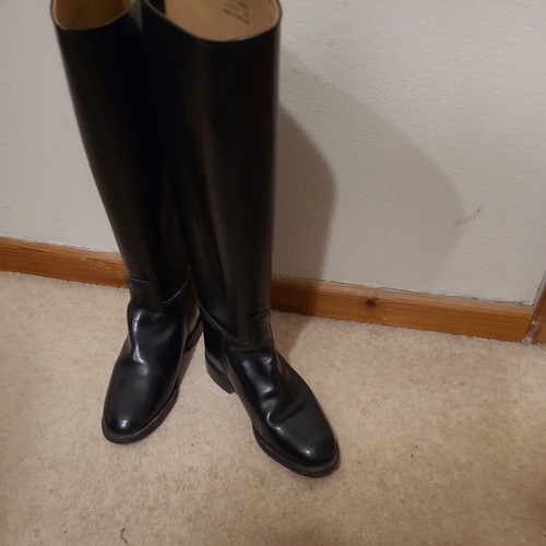 Hawkins leather horse riding - horse,