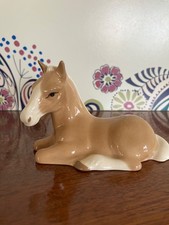 Szeiler Horse Pony Foal lying