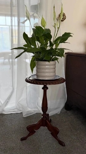 Vintage carved mahogany plant
