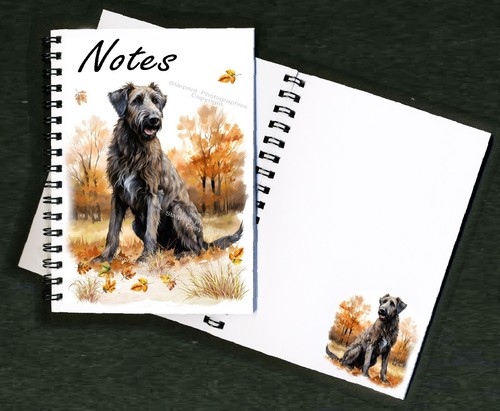 Irish wolfhound dog - irish,