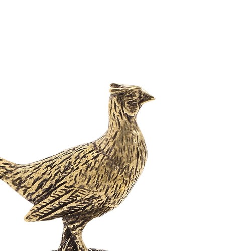 Long tailed pheasant - long,