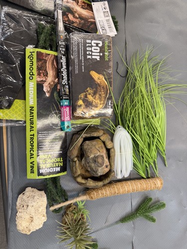 Reptile bundle - reptile,