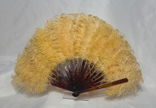 Antique ostrich feather fan - antique,