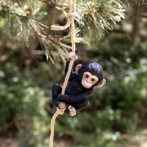 Hanging baby monkey rope - hanging,