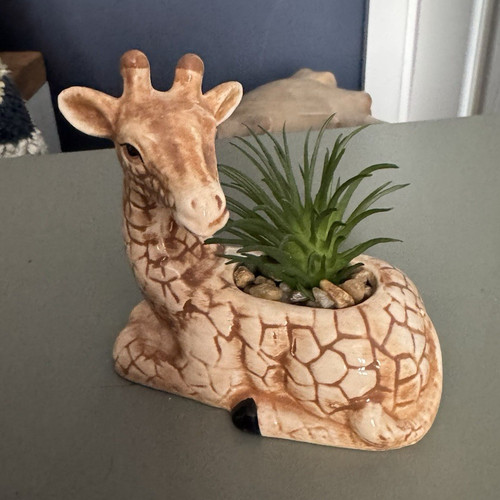 Ceramic giraffe planter - giraffe, art