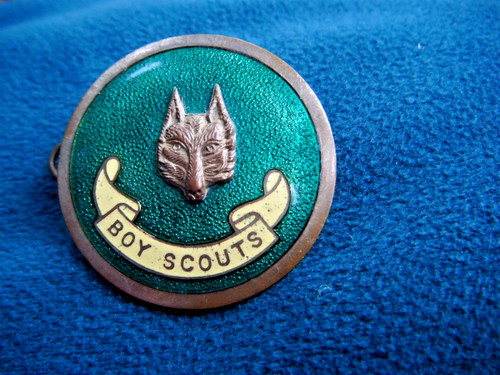Boy scouts wolf - scouts, cubs