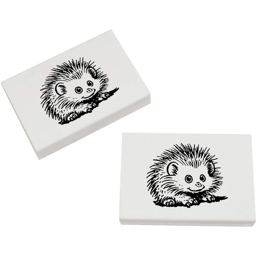 African pygmy hedgehog - pygmy, hedgehog'