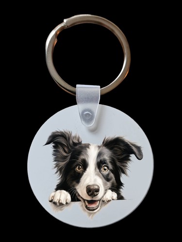 Peeking peeping border collie - peeping,
